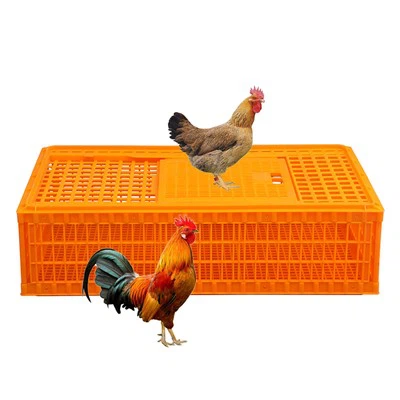 Большой пластиковый ящик для курицы с одной дверью