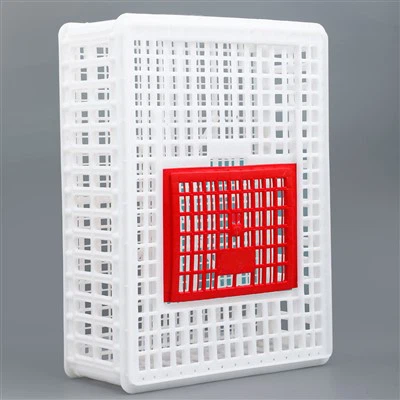 Пластиковый ящик для домашней птицы для живой курицы