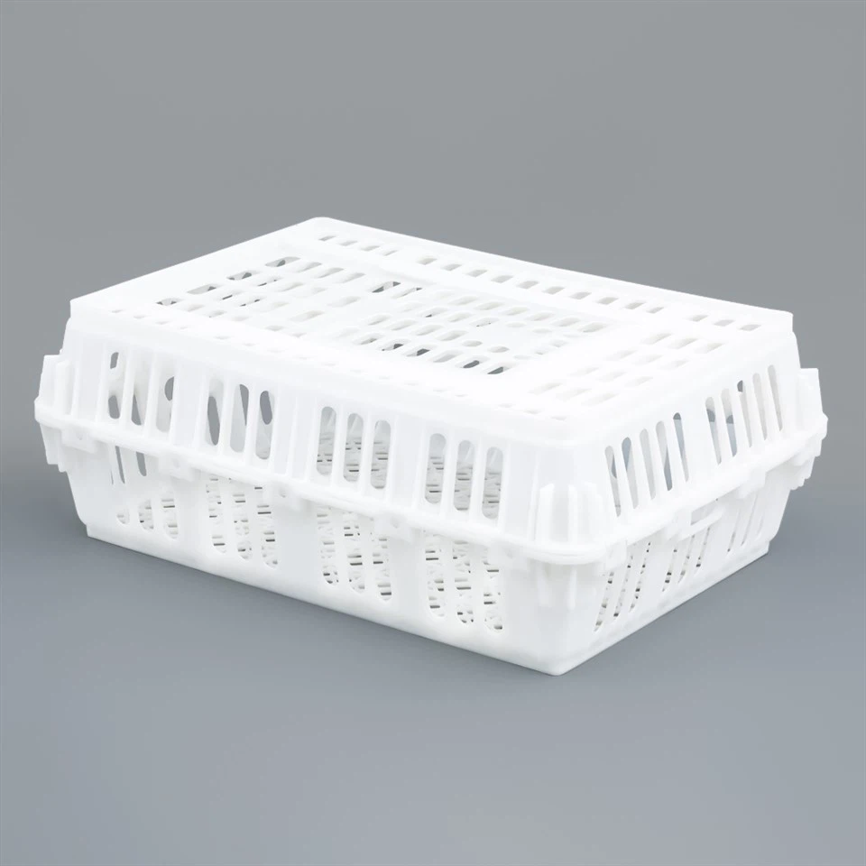 Разобранный пластиковый ящик для кур