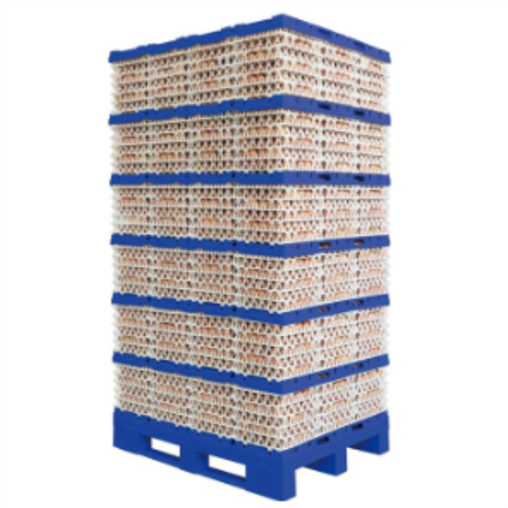 Plastic Egg Hatching Incubator Accessories Tray