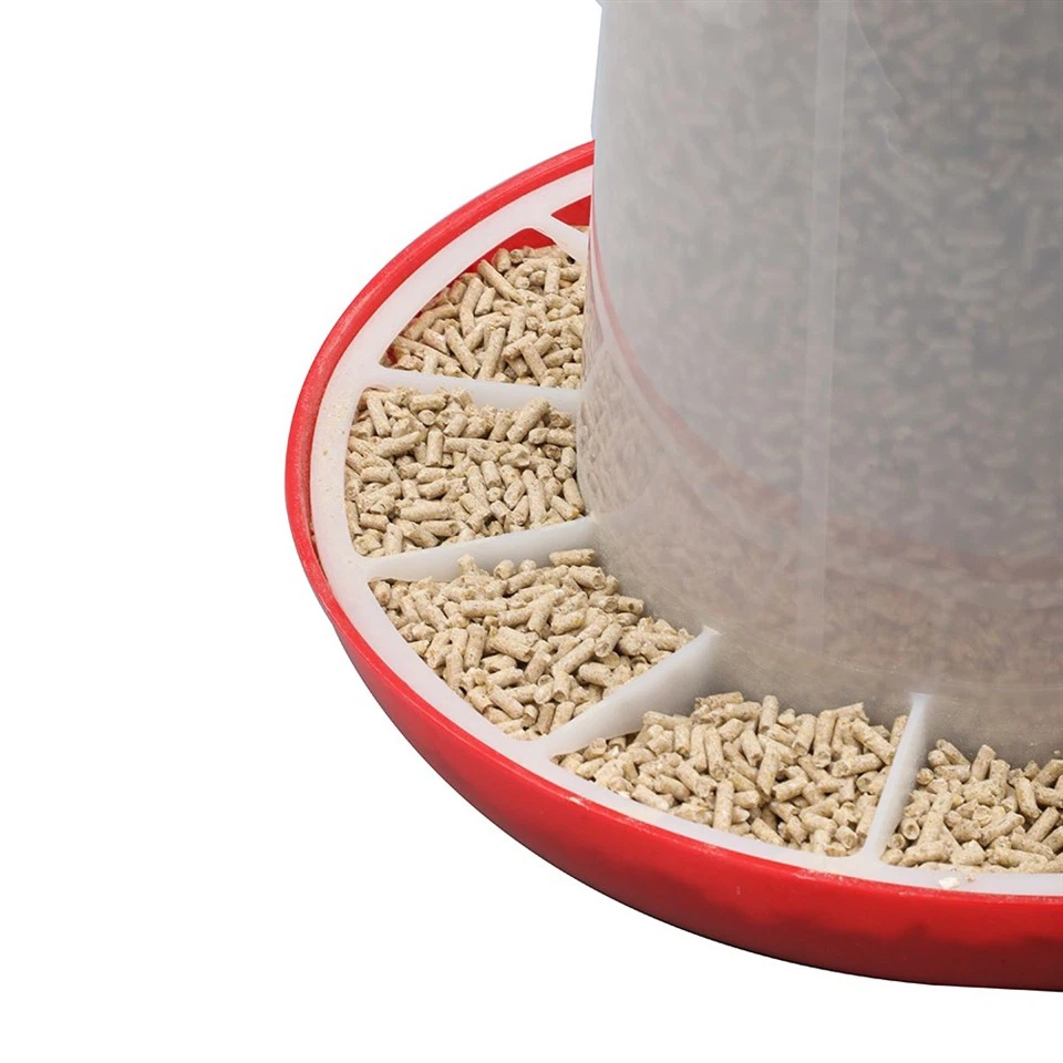 Hanging Chicken Feeder