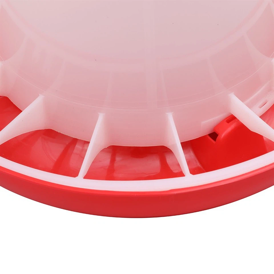 Hanging Chicken Feeder