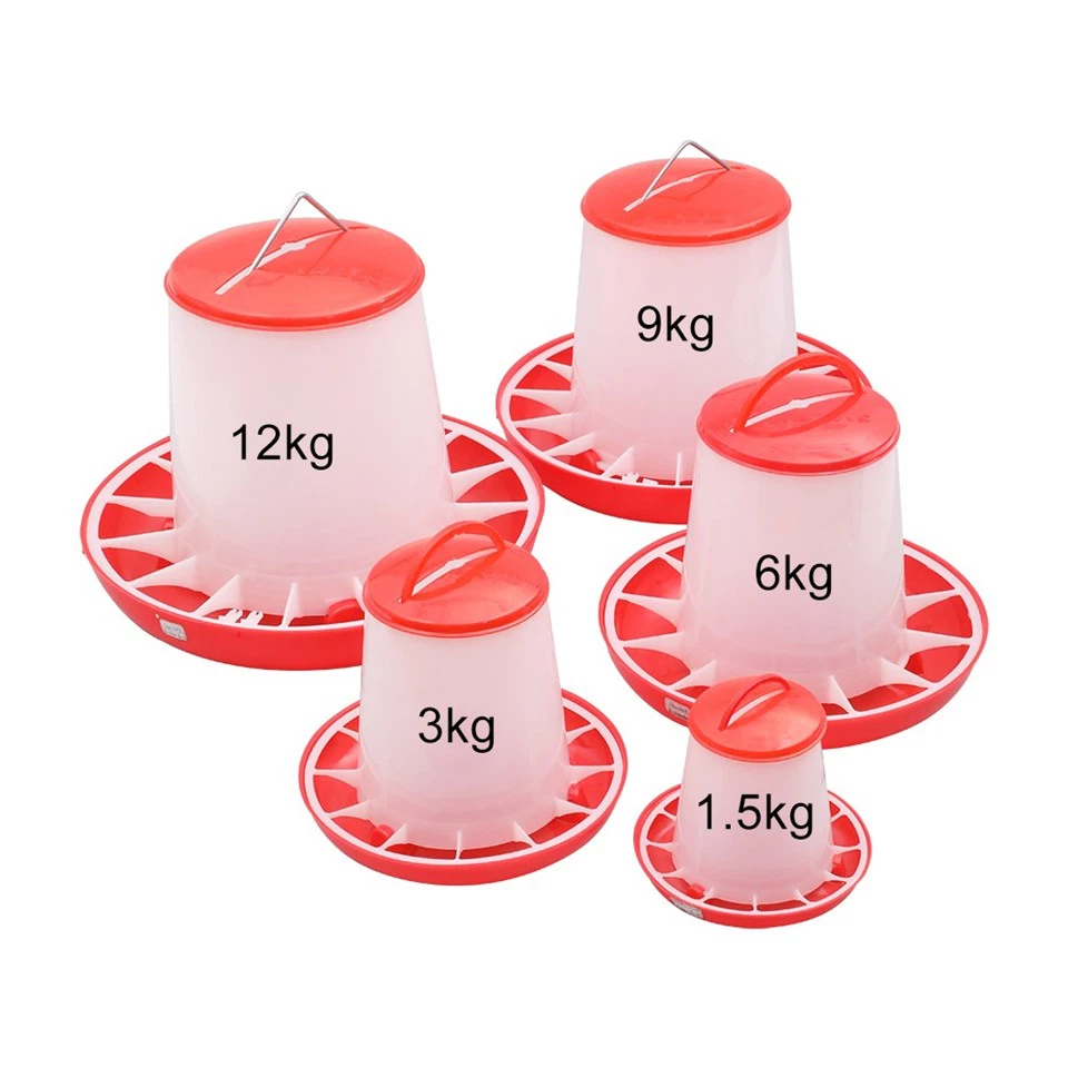 Hanging Poultry Feeder