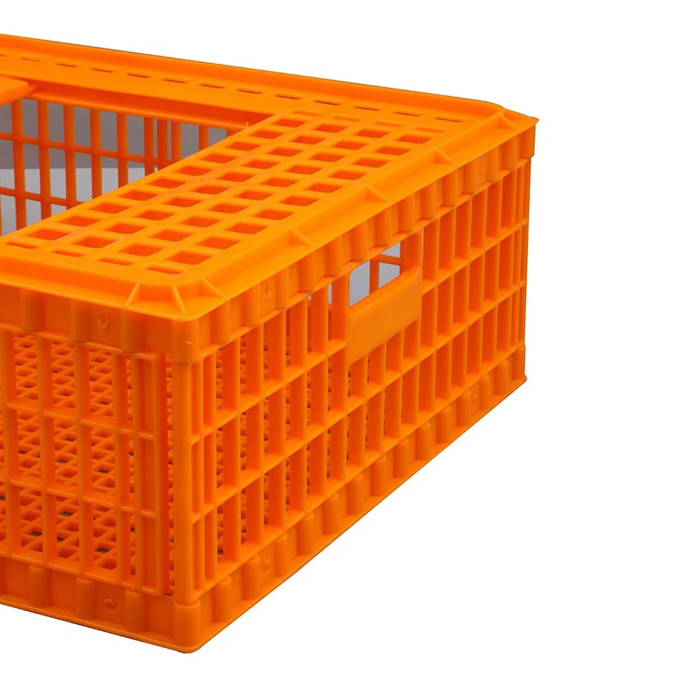 Plastic Chicken Cage Turnover Box