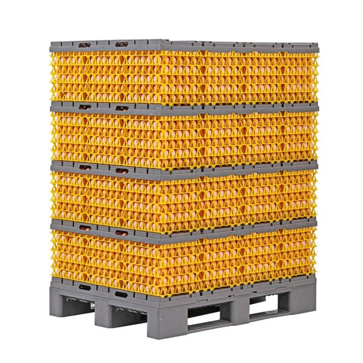 Пластиковый лоток для аксессуаров для инкубатора для инкубации яиц