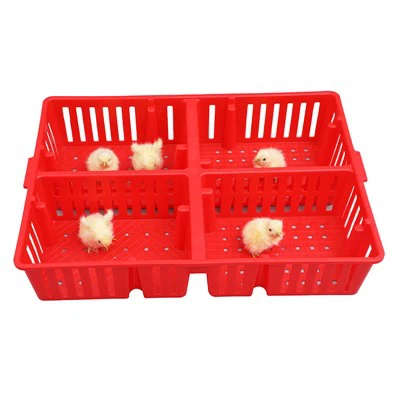 Пластиковый ящик для цыплят с 4 отделениями